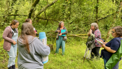 forest bathing near me