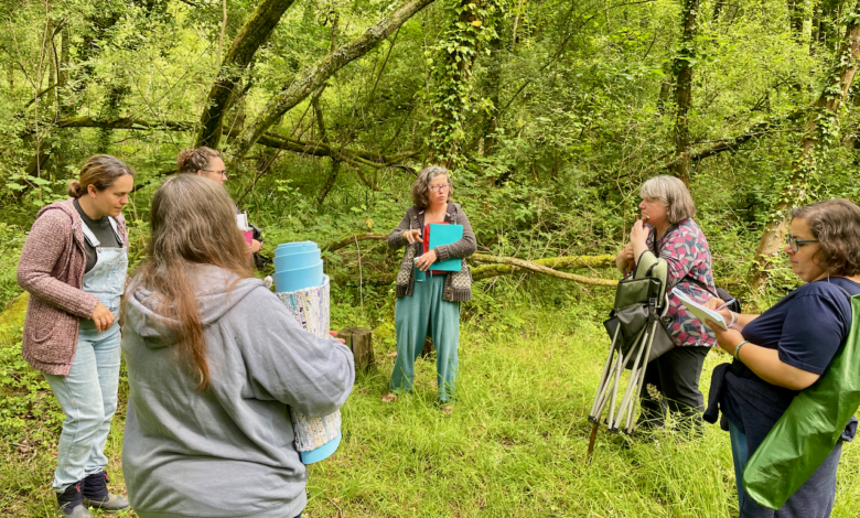 forest bathing near me