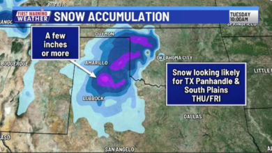 does it snow in texas
